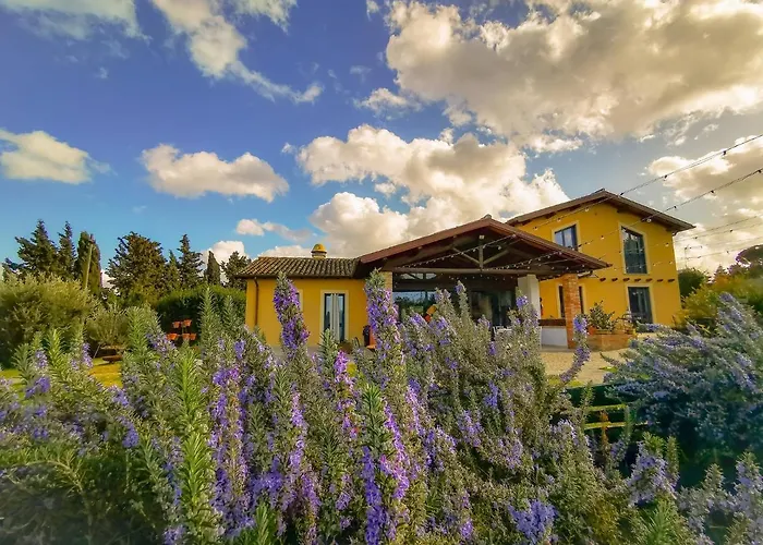 Country House Erba Regina Frascati