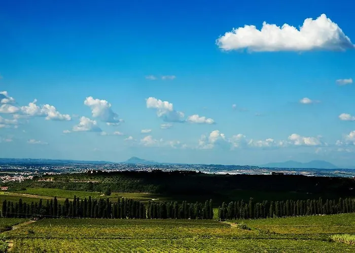 Merumalia Wine Resort Frascati