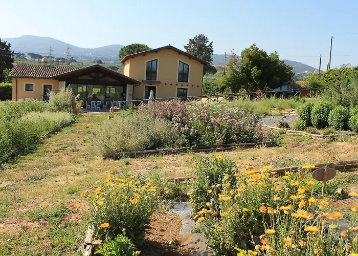 Country House Erba Regina Frascati